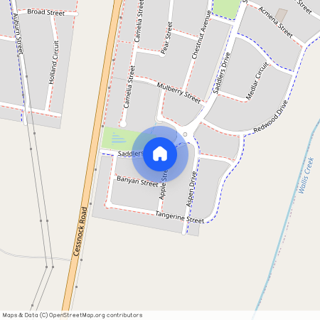 121a Saddlers Dr, NSW 2321, Gillieston Heights