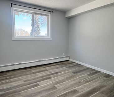 Modern and Spacious 2-Bedroom Apartment - SMALL PET FRIENDLY! - Photo 4