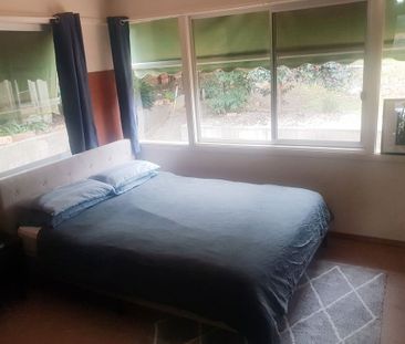 444 Schubach Street, East Albury - Photo 4