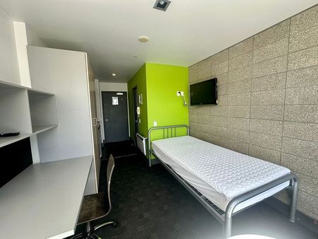 Central Auckland Studio Apartment! - Photo 4