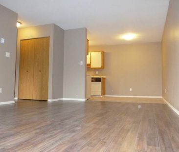 Mount View Terrace - Photo 1