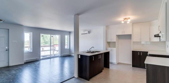 (Plateau) Superbe Appartement 4 1/2 - Photo 2