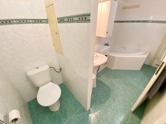 Pronájem prostorného a světlého bytu 1+1, 53 m - Фото 1