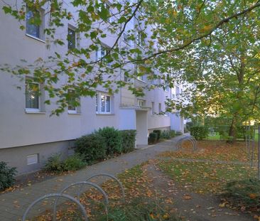 Familienfreundliches Paradies in Halles beliebter Südstadt - Foto 4