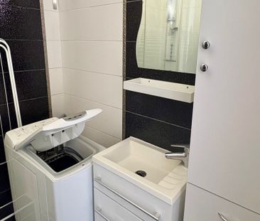 Location Appartement 1 pièce 24m² - Photo 4