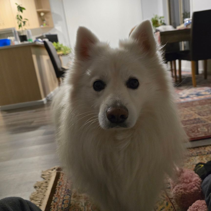 Andrews Farm - Photo 1