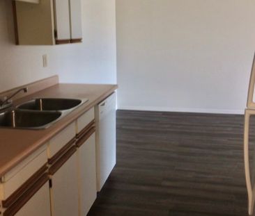 Bevan Terrance 1BD/1BA - Photo 2