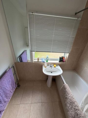 3 bedroom semi-detached house to rent - Photo 3