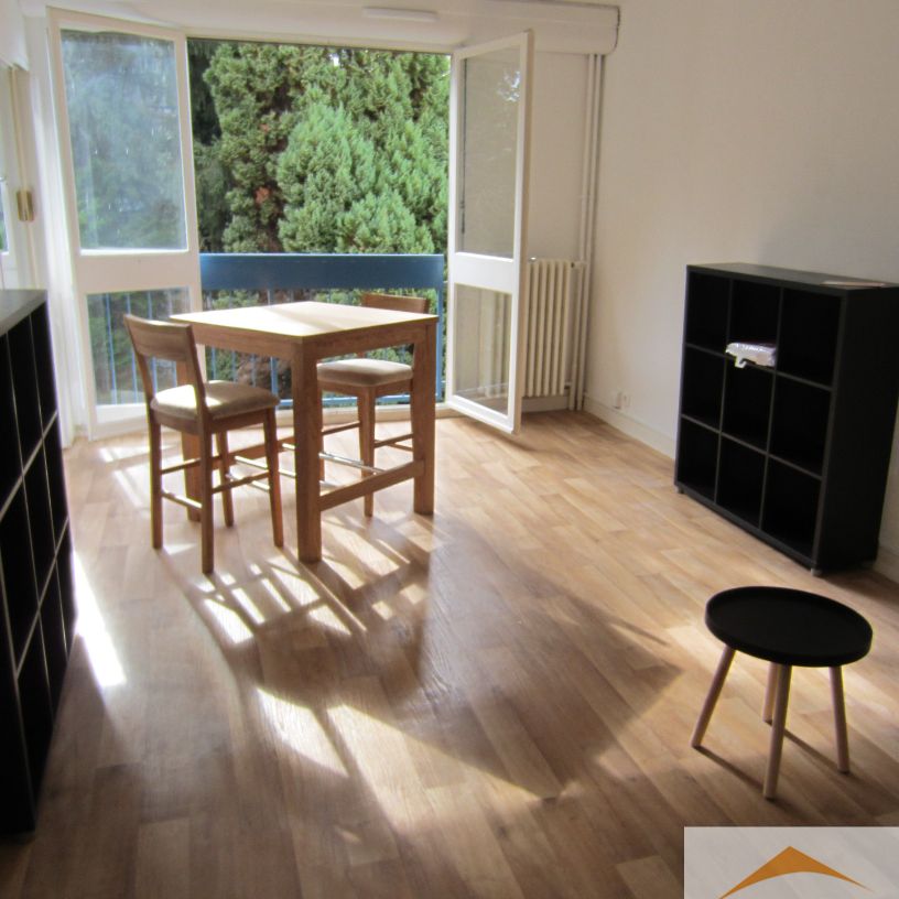 T1 meublé - Proximité Renoir - Photo 1