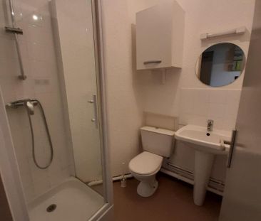 Location Appartement 1 pièce 15m² TOURS 37200 - Photo 3