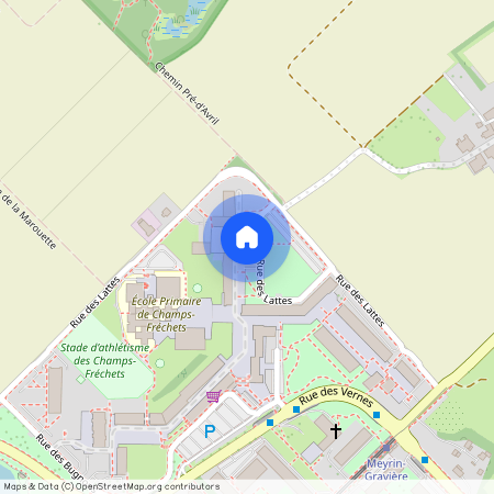 1217, Meyrin, Rue des Lattes, 49