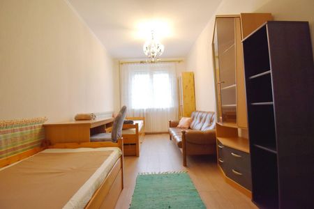Hajdú-Bihar megye, Debrecen - Fotó 5