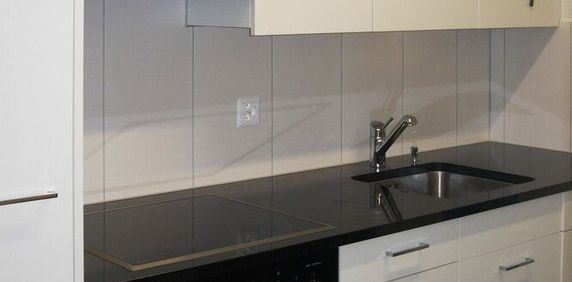 Moderne Stadtwohnung nähe Schmiede Wiedikon - Foto 2