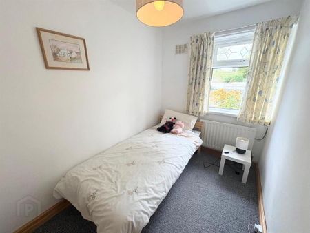 52 Breda Road, Belfast, BT8 7BU - Photo 4