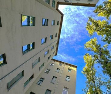 Sanierte und moderne Altbauwohnung mit Wohlfühlgarantie! - Foto 1