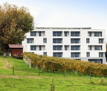 Vista aperta, finiture moderne e tutti i servizi a portata di mano - Photo 5