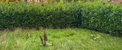 Gepflegte 2-Zimmer-Einliegerwohnung mit separaten Eingang – in ruhiger Wohngegend! - Photo 1