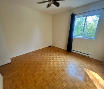 59 Rue Galipeau - Photo 3