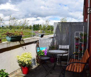 Decorated room in 3-bedroom apartment in Dublin - Photo 4