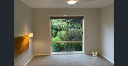 IMMACULATE - Photo 3