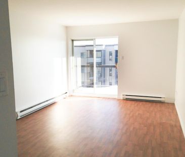 BEAU GRAND 3 ½ RÉNOVÉ, SECTEUR PAISIBLE, 1065$/MOIS TOUT INCLUS, DI... - Photo 4