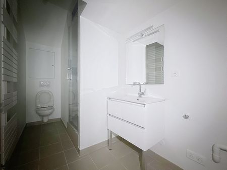 Appartement T3 Nancy à louer - Photo 4