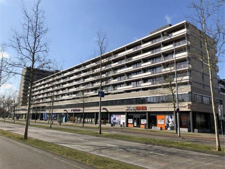 Appartement te huur: Bomanshof 217-L 5611 NR Eindhoven - Photo 4