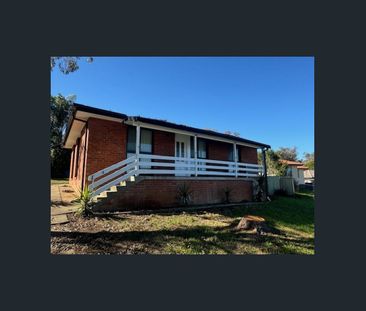 Renovated 3 Bedroom Home - Photo 6