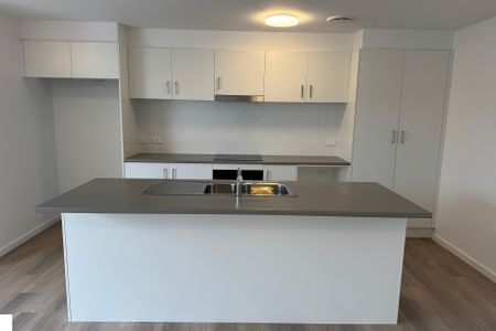 55 Keith Bain Crescent, Whitlam ACT 2611 - Townhouse For Rent | Domain - Photo 2