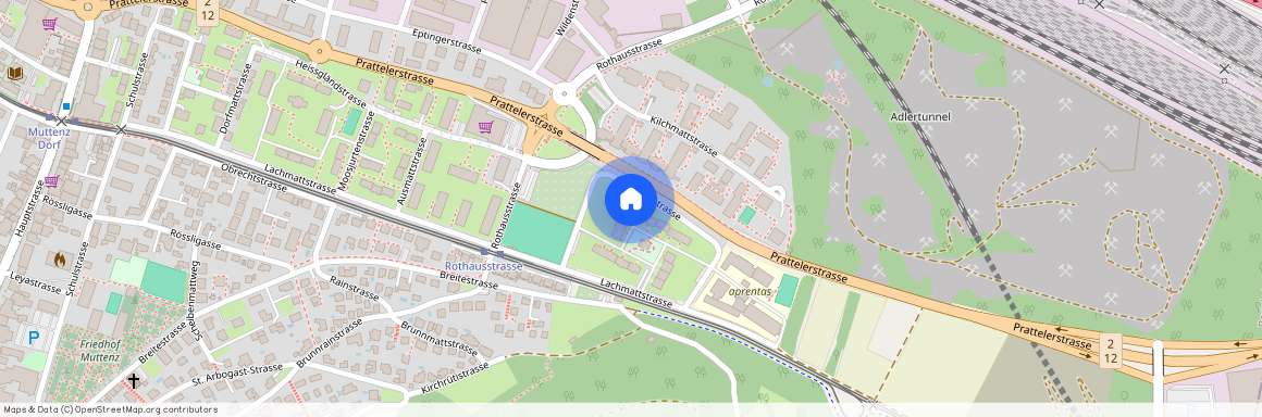 Seemaettlistr. 8, 4132, Muttenz