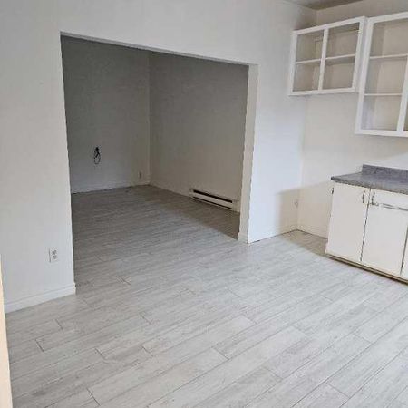 Shawinigan 3 1/2 style loft ouvert à louer - Photo 3