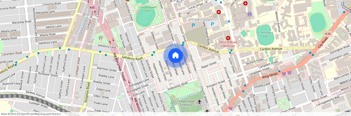 24 Roberts Street, NSW 2050, Camperdown