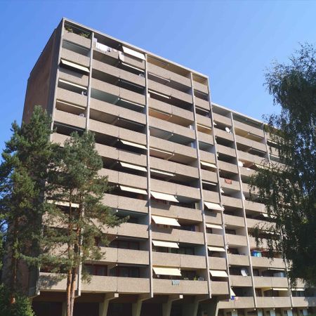 "Wohnen am Rhein" - Foto 3