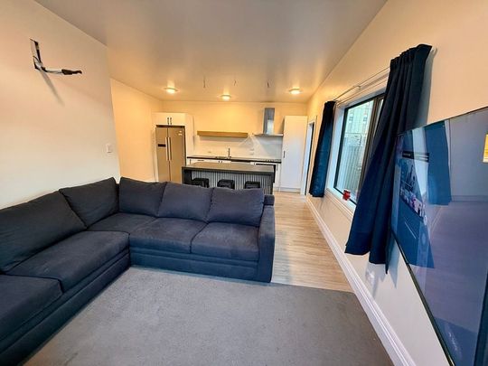 Cabbage Tree Lodge - Albany St - Campus Renovated - Photo 1