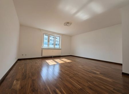 Erstbezug nach Sanierung - Sonniges Cityapartment in absoluter Ruhelage - 6.Liftstock - Foto 3