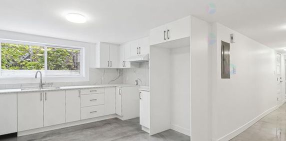 Logement 3 1/2 rénové à louer à Montréal Mercier Hochelaga - Photo 2