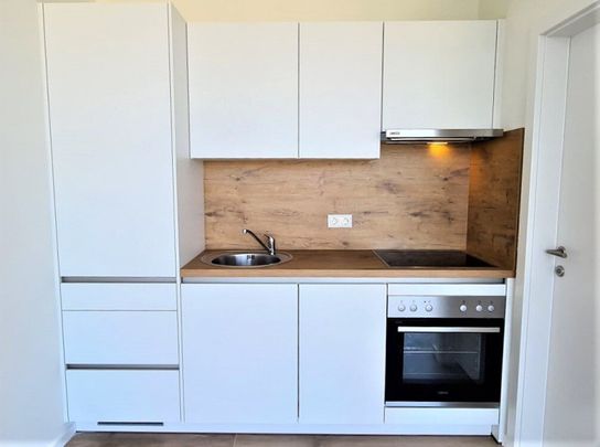 TERRASSENHIT, FERNBLICK, klimatisiertes 37 m2 Dachgeschoß mit 23 m2 Terrasse, 1 Zimmer, Komplettküche, Duschbad, Anton-Bosch-Gasse - Foto 1