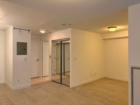 For Lease - 111 Elizabeth Street Unit# 317, Toronto, Ontario - Photo 4