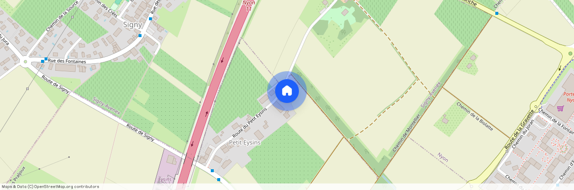 1262, Eysins, Route Du Petit Eysins, 30