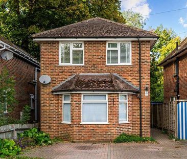 Holtye Avenue, RH19 - Photo 1