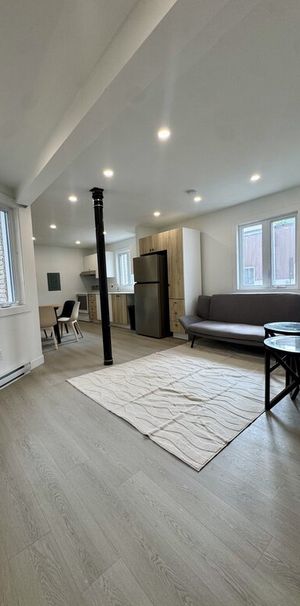 Pointe St-Charles - Nice 5 1/2 Furnished - Photo 1