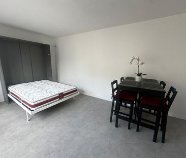 Location Appartement 1 pièce 23m² - Photo 4