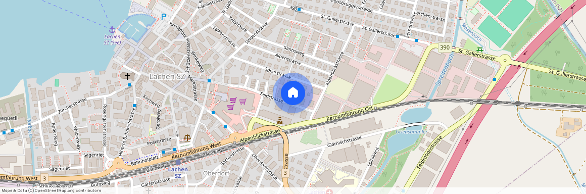 Feldstrasse 21, 8853 Lachen SZ