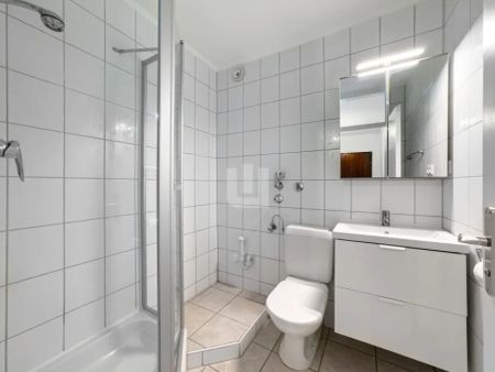 WINDISCH IMMOBILIEN - Neu renoviertes Appartement mit EBK & Balkon in Germering für eine Person! - Photo 5