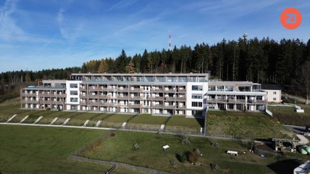 *Über der Nebelgrenze* 2 Zimmer Wohnung mit Blick ins Grüne - Photo 3