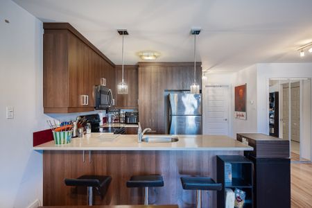 Condo for rent, Montréal (Le Sud-Ouest) - Photo 2