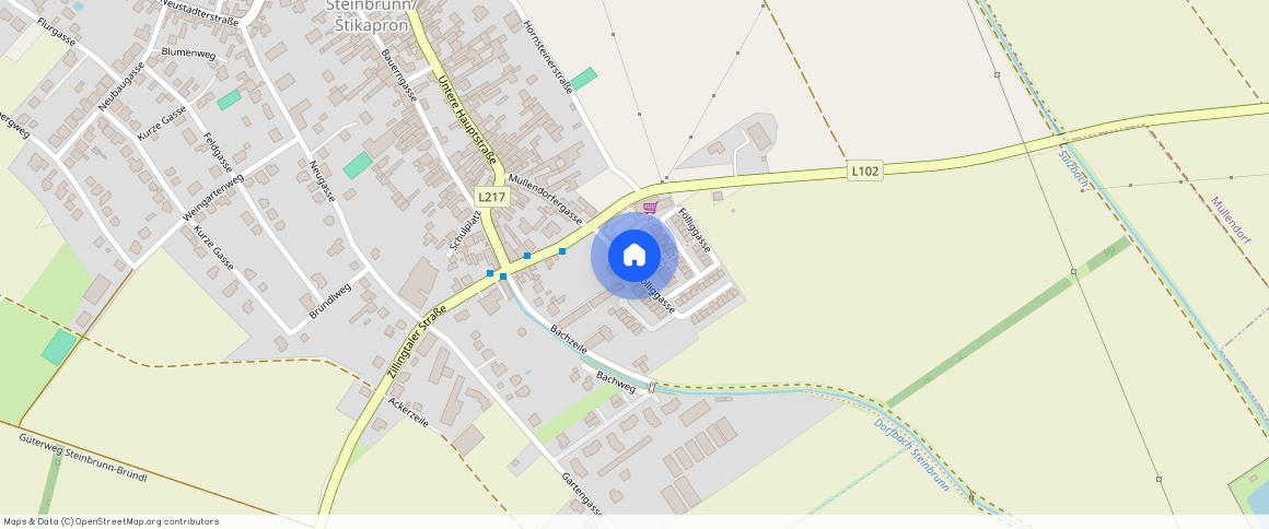 Fölliggasse 9/10, 7035, Steinbrunn