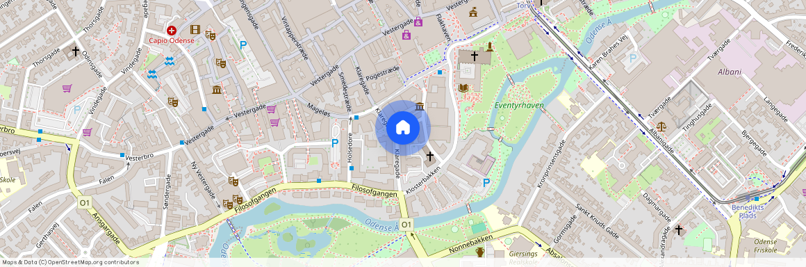 Horsetorvet 1 st. lejl. 1, 5000 Odense C