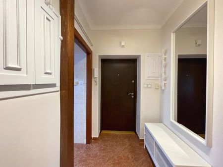 Słoneczne, odświeżone, duża widna kuchnia - Zdjęcie 3