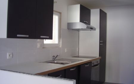 Location Appartement P1 Mezzanine Meze - Photo 3